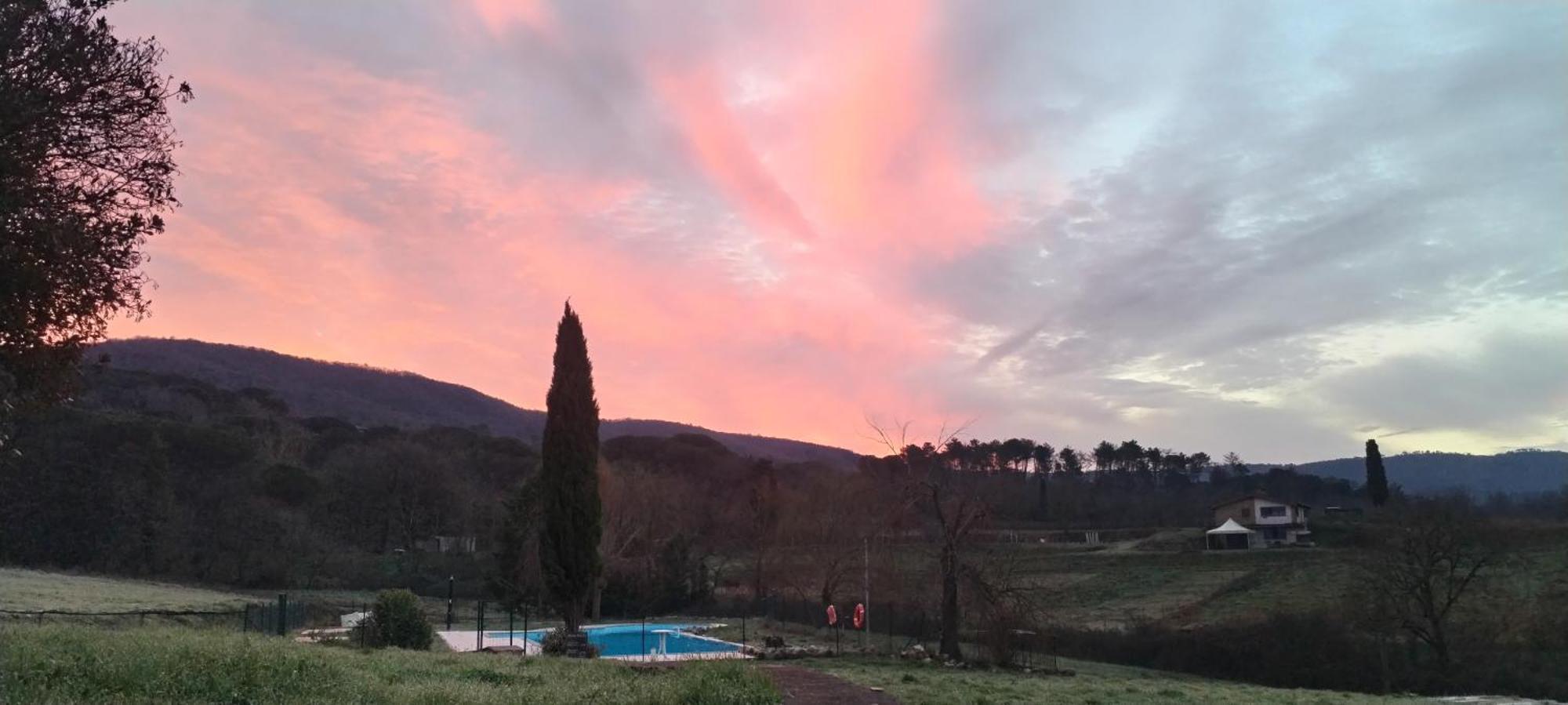 I Salici Agriturismo Badia Agnano Exterior foto